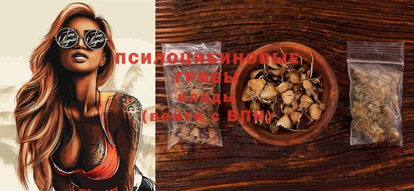 бутират Няндома