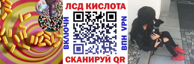 Купить закладки  Щёкино  ЛСД экстази ecstasy 